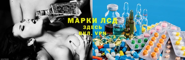 стаф Заволжье