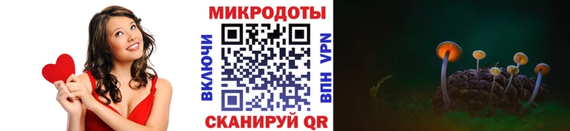 KRAKEN зеркало  Западная Двина  Псилоцибиновые грибы мухоморы 