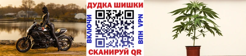 Марихуана план  Западная Двина 